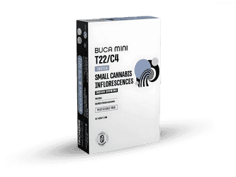 תפרחת בוקה מיני - T22/C4 - Buca Mini