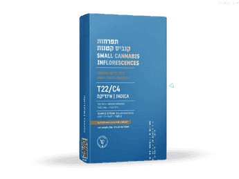 תפרחת בוקוטי צ'יקו מיני - T22/C4 - Bucotti Chico Mini