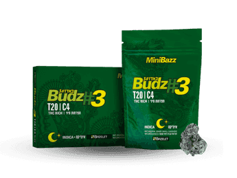 תפרחת באדז #3 מיני - T20/C4 - Budz #3 Mini