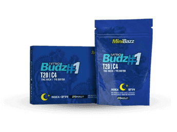 תפרחת באדז #1 מיני - T20/C4 - Budz #1 Mini