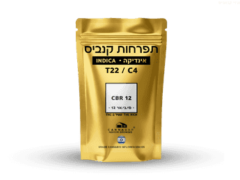 תפרחת סי.בי.אר 12 - T22/C4 - CBR 12