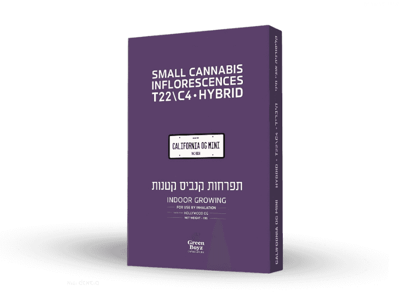 קנאביס רפואי תפרחת קליפורניה אוג'י מיני - T22/C4 - California OG Mini גרין בויז יום\לילה - היברידי