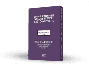 תפרחת קליפורניה אוג'י מיני - T22/C4 - California OG Mini