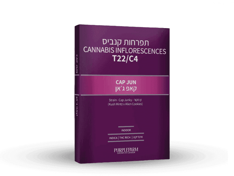 תפרחת קאפ ג'אן - T22/C4 - Cap Jun