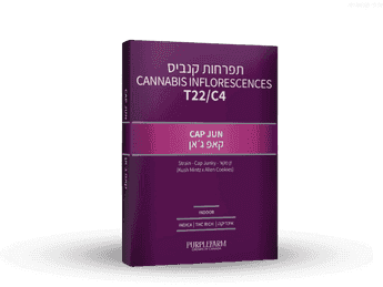 תפרחת קאפ ג'אן - T22/C4 - Cap Jun