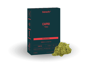 תפרחת קאפרי - T20/C4 - Capri