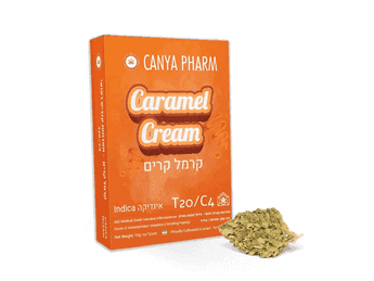 תפרחת קרמל קרים - T20/C4 - Caramel Cream