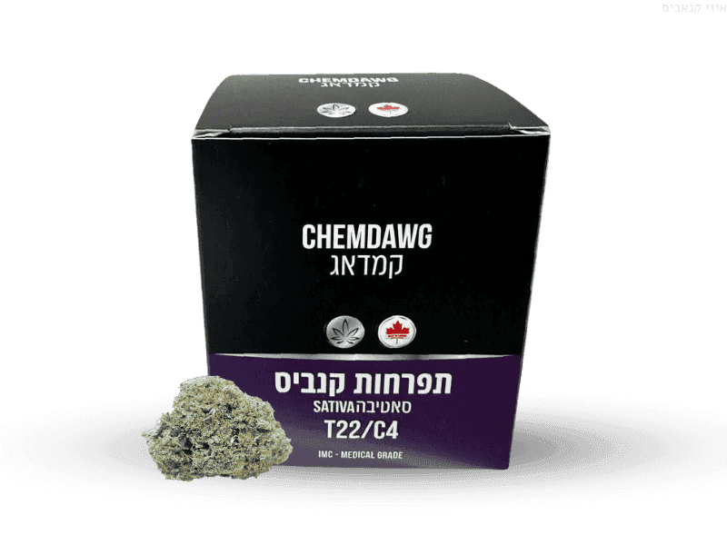 קנאביס רפואי תפרחת כמדוג - T22/C4 - Chemdawg גרין האוס יום - סאטיבה