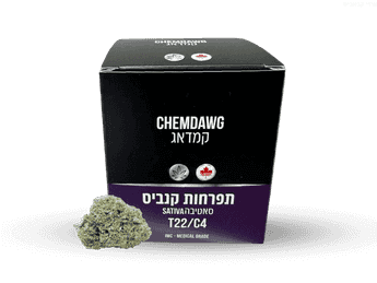 תפרחת כמדוג - T22/C4 - Chemdawg