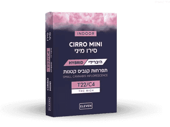 תפרחת סירו מיני - T22/C4 - Cirro Mini