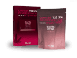 תפרחת קורילה - T22/C4 - Corila