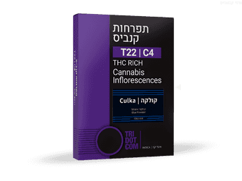 תפרחת קולקה - T22/C4 - Culka