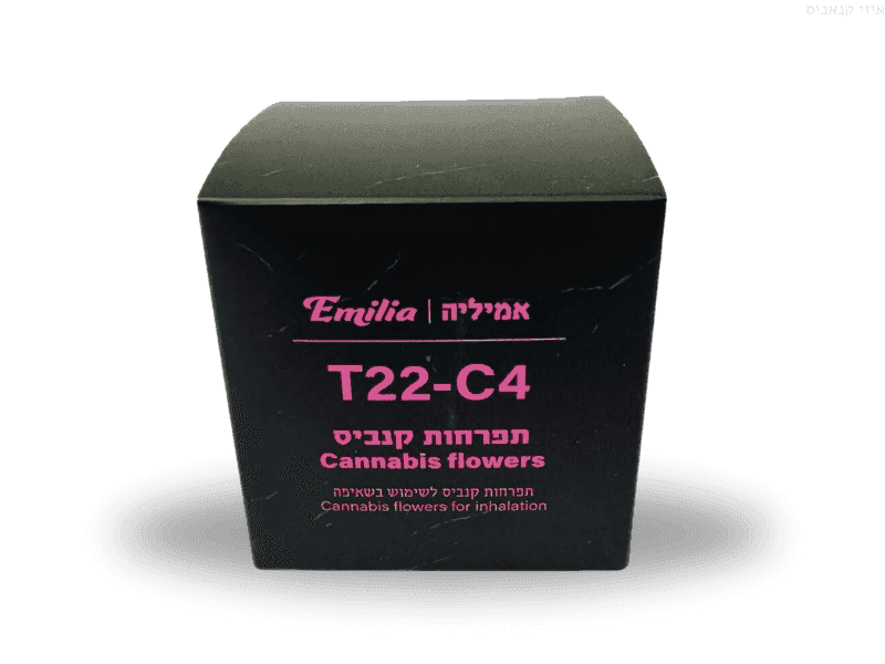 קנאביס רפואי תפרחת אמיליה - T22/C4 - Emilia דוד וגוליית לילה - אינדיקה