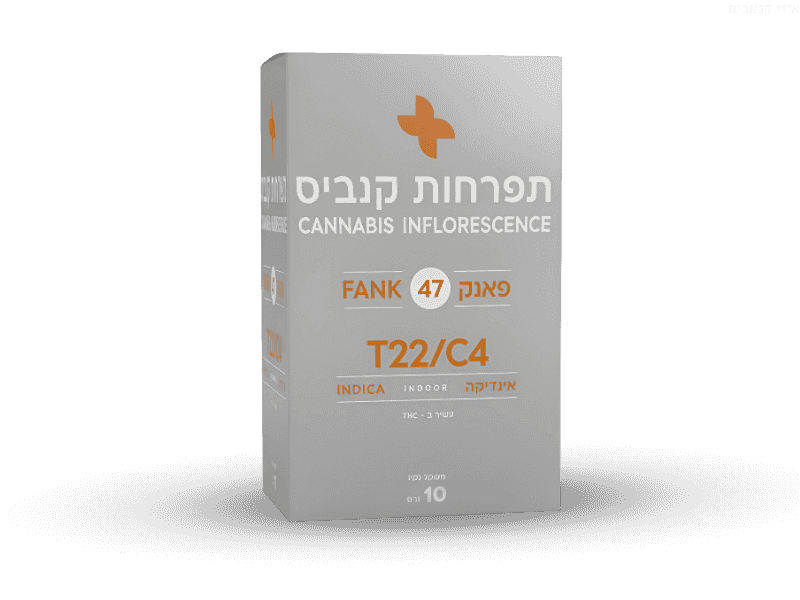 קנאביס רפואי תפרחת פאנק 47 - T22/C4 - Fank 47 גרין האוס לילה - אינדיקה