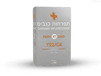 תפרחת פאנק 47 - T22/C4 - Fank 47