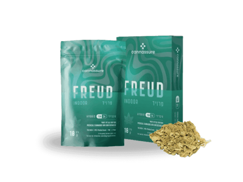 תפרחת פרויד מינון - T20/C4 - Freud