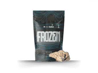 תפרחת פרוזן - T20/C4 - Frozen