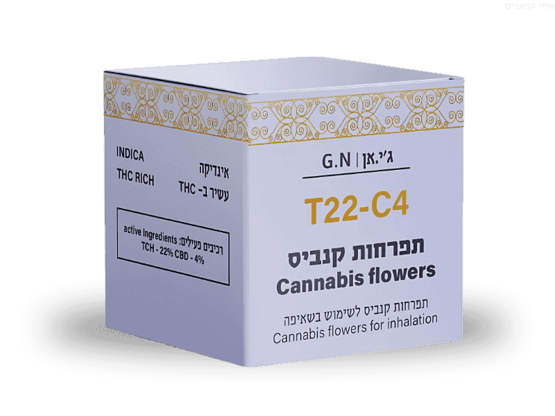 קנאביס רפואי תפרחת ג'י.אן - T22/C4 - G.N דוד וגוליית לילה - אינדיקה