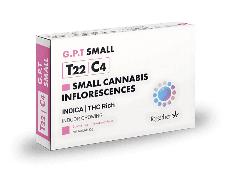 תפרחת ג'י.פי.טי סמול  - T22/C4 - G.P.T Small
