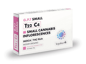 תפרחת ג'י.פי.טי סמול  - T22/C4 - G.P.T Small
