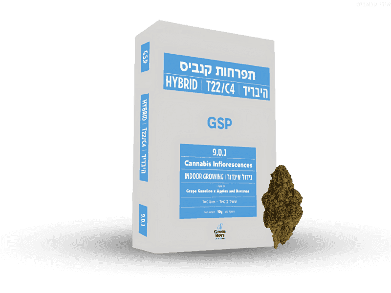 קנאביס רפואי תפרחת ג.ס.פ - T22/C4 - G.S.P גרין בויז יום\לילה - היברידי