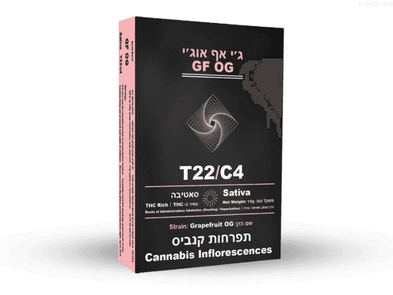 קנאביס רפואי תפרחת ג'י אף או ג'י - T22/C4 - GF OG הרמוני יום - סאטיבה