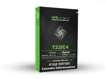 תפרחת ג'י אף בי - T22/C4 - GFB