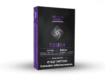 תפרחת ג'י ג'י #4 - T22/C4 - GG#4