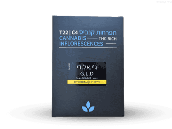 תפרחת ג'י אל די - T22/C4 - GLD