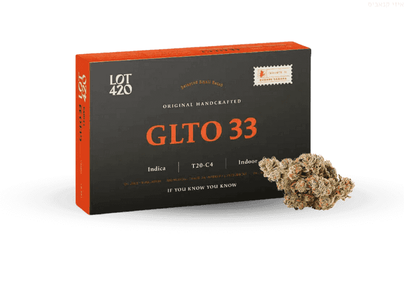 תפרחת ג'לטו 33 - T20/C4 - GLTO 33
