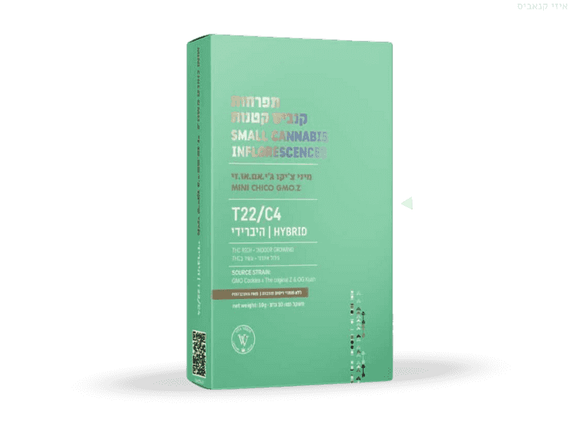 קנאביס רפואי תפרחת ג'י.אם.או.זי צ'יקו מיני - T22/C4 - GMO.Z Chico Mini ויטה ורדה יום\לילה - היברידי