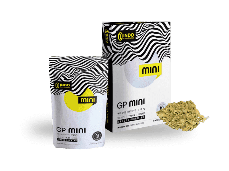 תפרחת ג'י פי מיני (GP) - T20/C4 - GP Mini