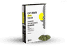 תפרחת ג'י פי מיני - T22/C4 - GP Mini