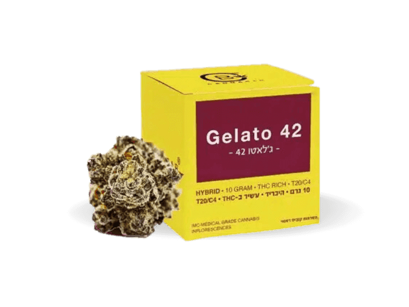 תפרחת ג'לאטו 42 - T20/C4 - Gelato 42