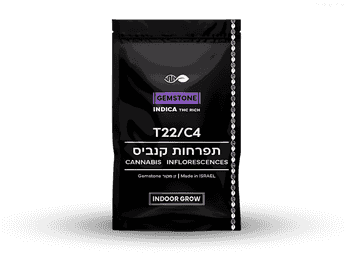 תפרחת ג'מסטון - T22/C4 - Gemstone