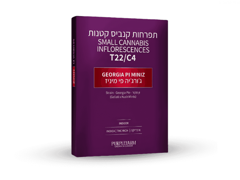 קנאביס רפואי תפרחת ג'ורג'יה פי מיניז  - T22/C4 - Georgia Pi Miniz קנדוק לילה - אינדיקה