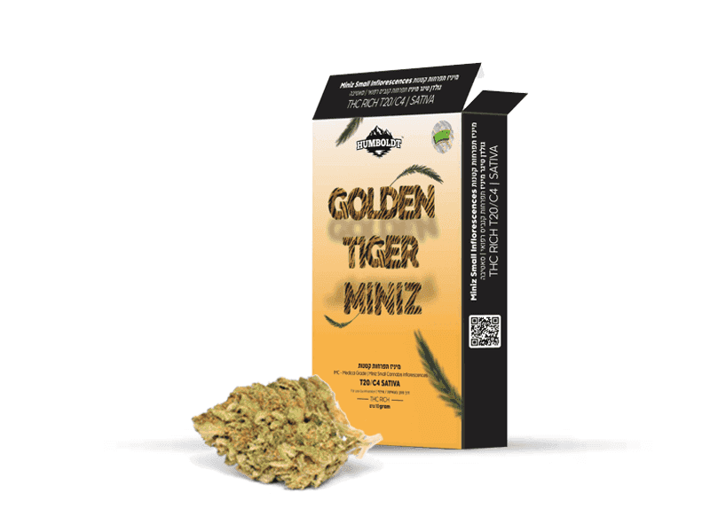 תפרחת גולדן טיגר מיניז - T20/C4 - Golden Tiger Miniz