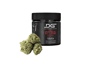 תפרחת גוליית T20/C4 - Goliath