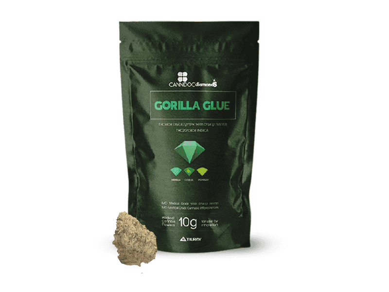 תפרחת גורילה גלו - T20/C4 - Gorilla Glue