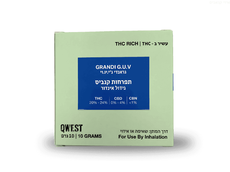 קנאביס רפואי תפרחת גראנדי ג'י.יו.וי - T22/C4 - Grandi G.U.V ג'י בי פארמה יום - סאטיבה