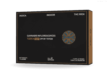 תפרחת הופי - T22/C4 - Hopi