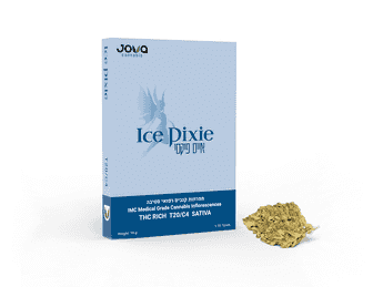 תפרחת אייס פיקסי - T20/C4 - Ice Pixie