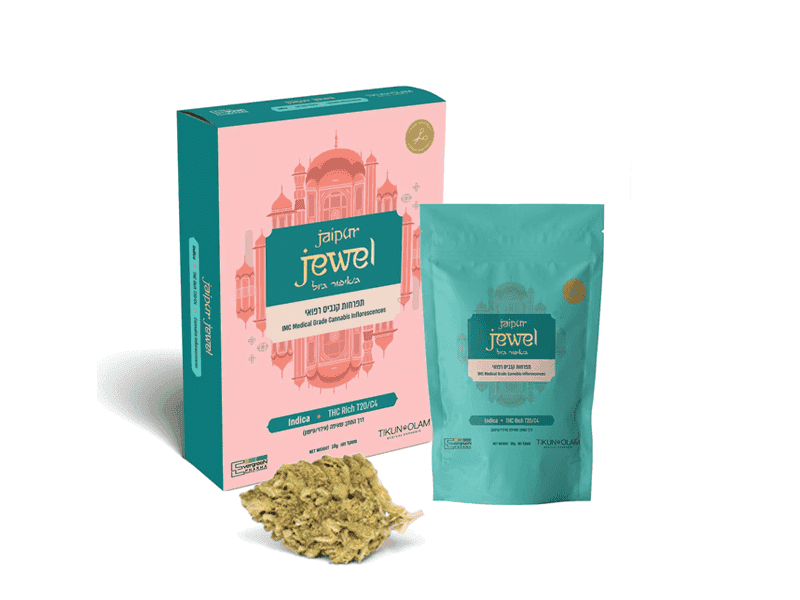 תפרחת ג'איפור ג'ול - T20/C4 - Jaipur Jewel