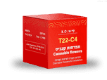 תפרחת קיי.או - T22/C4 - K.O