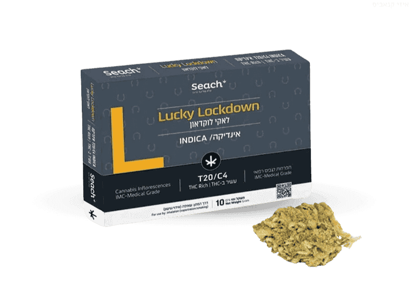 קנאביס רפואי תפרחת לאקי לוקדאון - T20/C4 - Lucky Lockdown שיח מדיקל לילה - אינדיקה