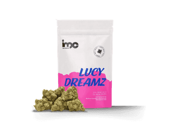 תפרחת לוסי דרימז - T20/C4 - Lucy Dreamz