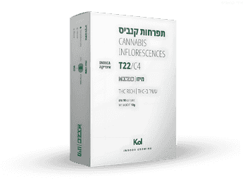 תפרחת לופי - T22/C4 - Luffy