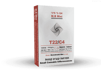 תפרחת אם בי מיני - T22/C4 - M.B Mini