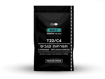 תפרחת מ.די.סי. - T22/C4 - M.D.C.