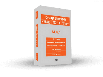 תפרחת אמ.ג'י.1 - T22/C4 - M‎.‎G‎.‎1